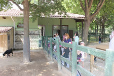 Şahinkayalı Minikler Keşifte