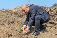 Daha Yeşil Bir Bursa İçin Fidanlar Toprakla Buluştu