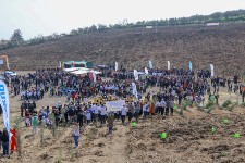 Daha Yeşil Bir Bursa İçin Fidanlar Toprakla Buluştu