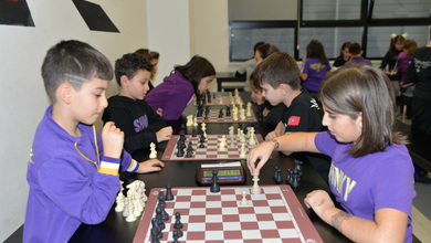 Şahinkaya Satranç Şampiyonası