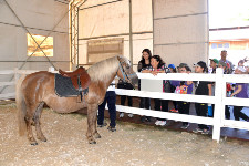 Karacabey Harasında Doğa ile İç İçe Bir Gezi