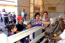 Karacabey Harasında Doğa ile İç İçe Bir Gezi