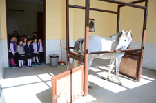 Şahinkaya’dan Hayvan Hastanesi’ne ziyaret